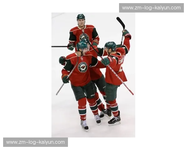 NHL数据：解锁冰球胜负背后的秘密